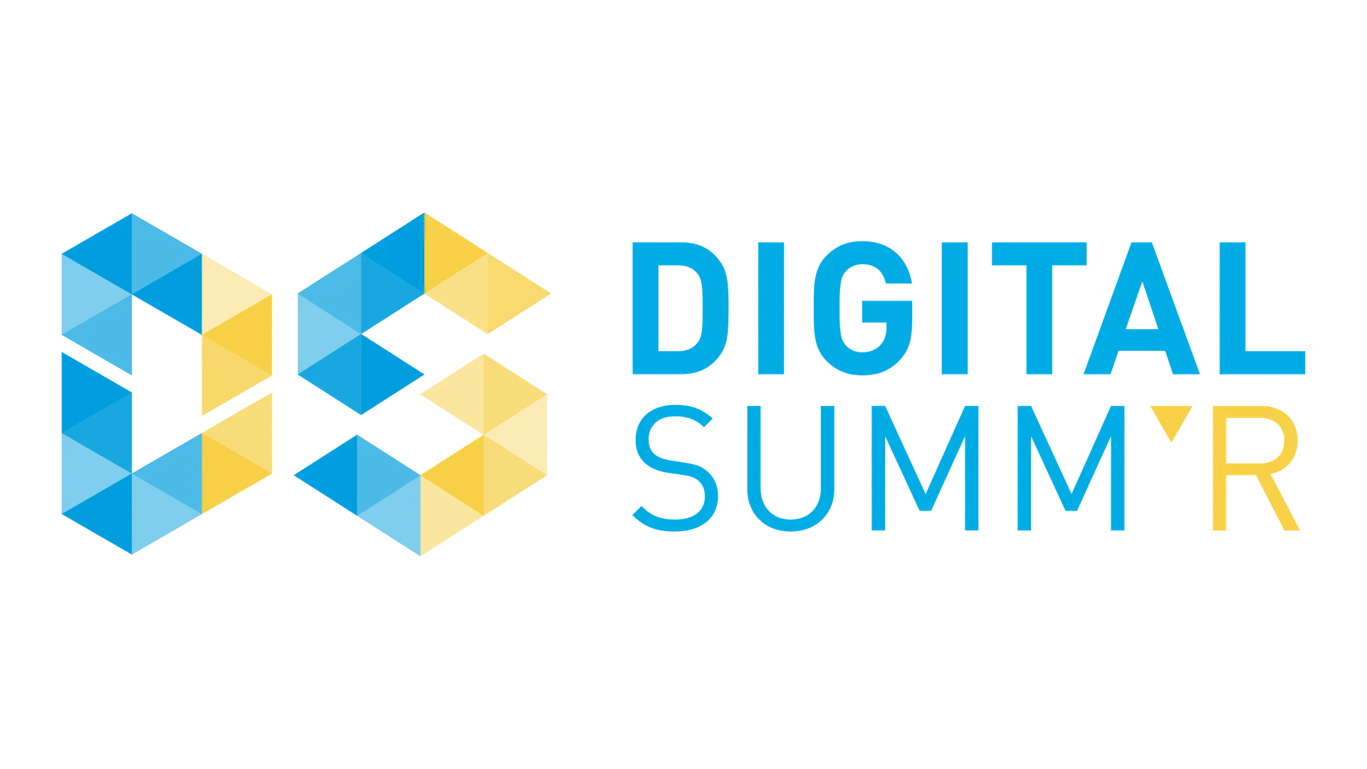 digital summr