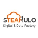 STEAMULO LYON